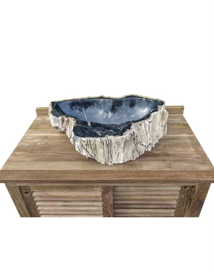 This Petrified Wood Sink Will Leave You Breathless!